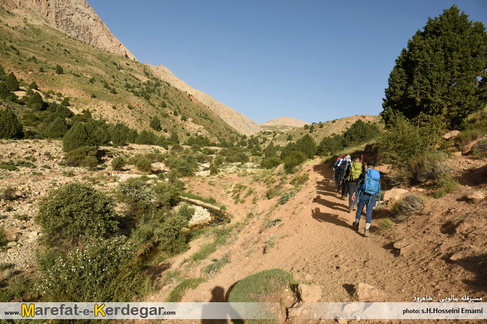 جنگل های استان سمنان